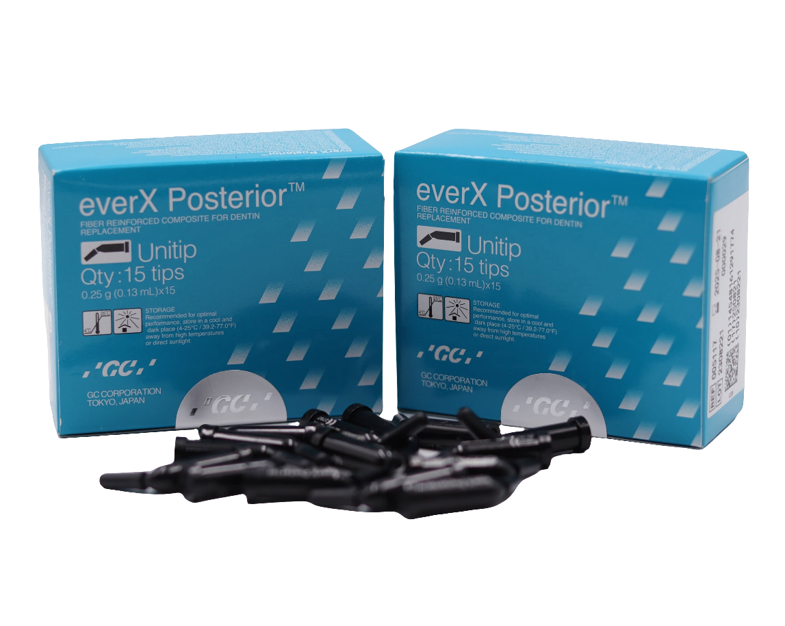 Caja Ever X posterior